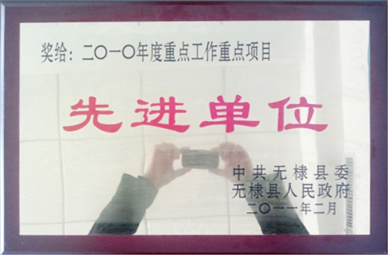 荣誉证书-先进单位
