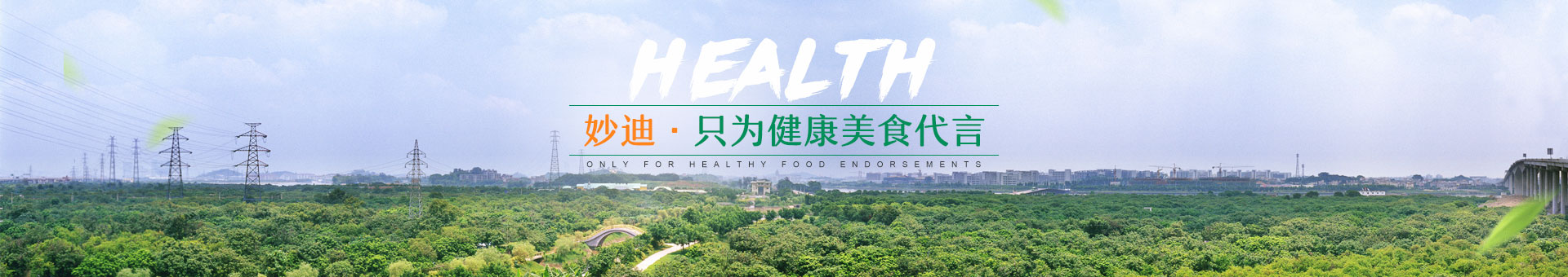 妙迪食品